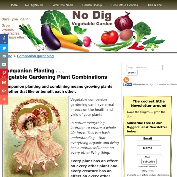 Companion Planting - Vegetable Gardening Plant Companions and Combining