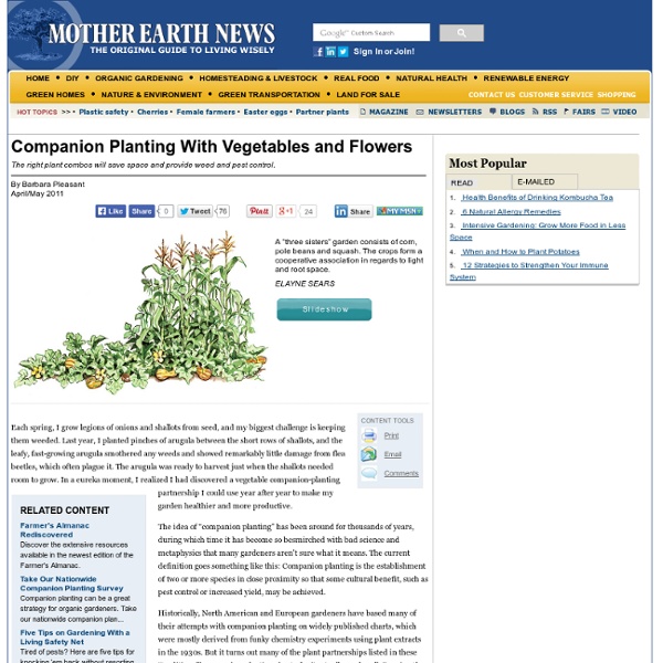 Companion Planting With Vegetables and Flowers - Organic Gardening