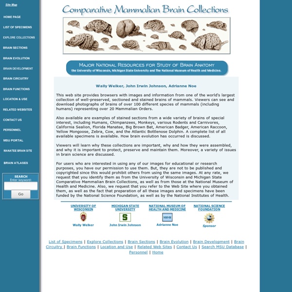 Comparative Mammalian Brain Collections - StumbleUpon