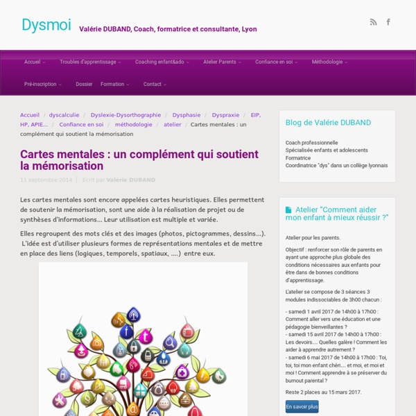 Dysmoi, le blog des dys, le site – Cartes mentales : un complément qui soutient la mémorisation