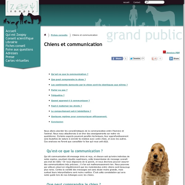 Chiens et communication, se faire comprendre de son chien - Comportement chien, Conseils de vétérinaires comportementalistes, fiches conseil éducation du chien communication du chien