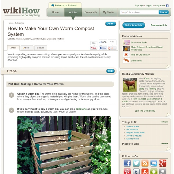 How to Make Your Own Worm Compost System