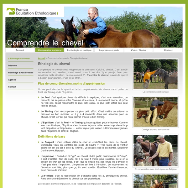 Ethologie cheval - Comprendre le cheval - France Equitation Ethologique