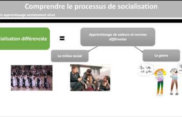(7) Comprendre le processus de socialisation