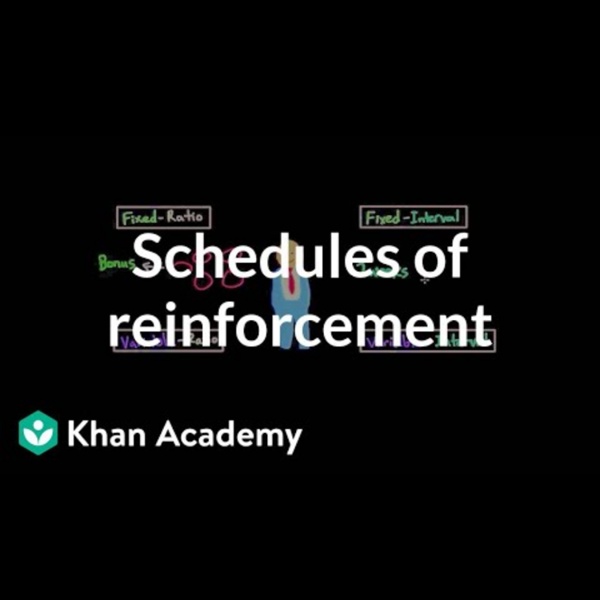 Video on Schedules of reinforcement by MCAT on Khan Academy