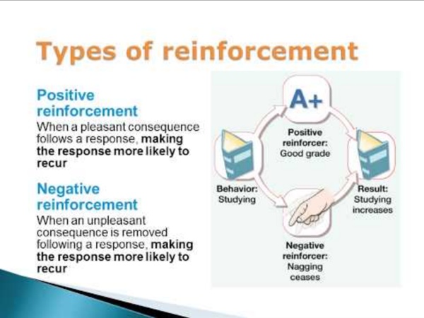 operant-conditioning-positive-and-negative-reinforcement-and-punishment-pearltrees