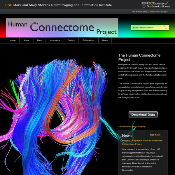  Mapping the human brain connectivity