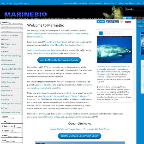 MarineBio Home ~ Marine Biology, Ocean Life Conservation, Sea creatures, Biodiversity, Oceans research...