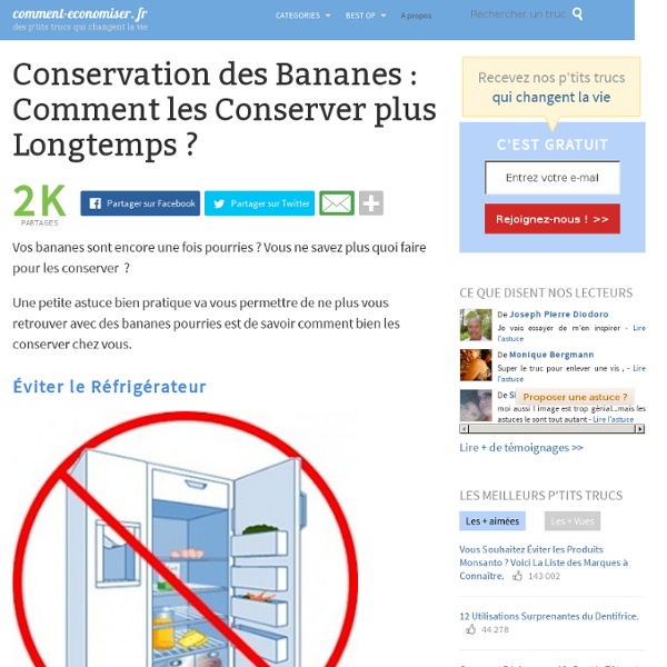 Conservation des Bananes : Comment les Conserver plus Longtemps ?