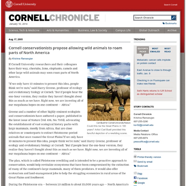 CU researchers propose rewilding