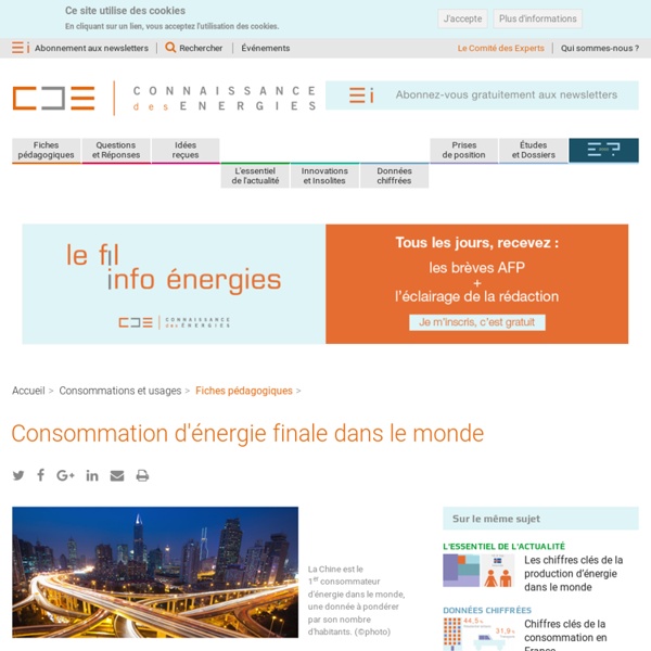 Consommation d'énergie finale et primaire dans le monde : chiffres clés et explications