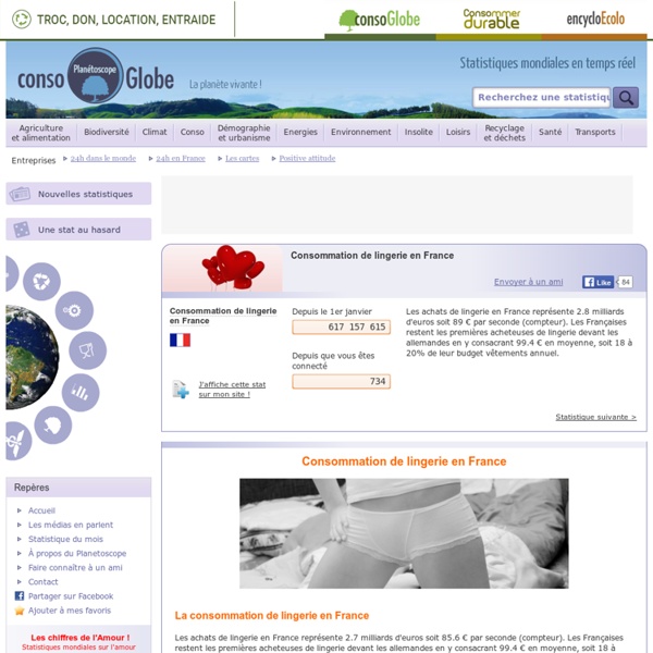 Consommation de lingerie en France
