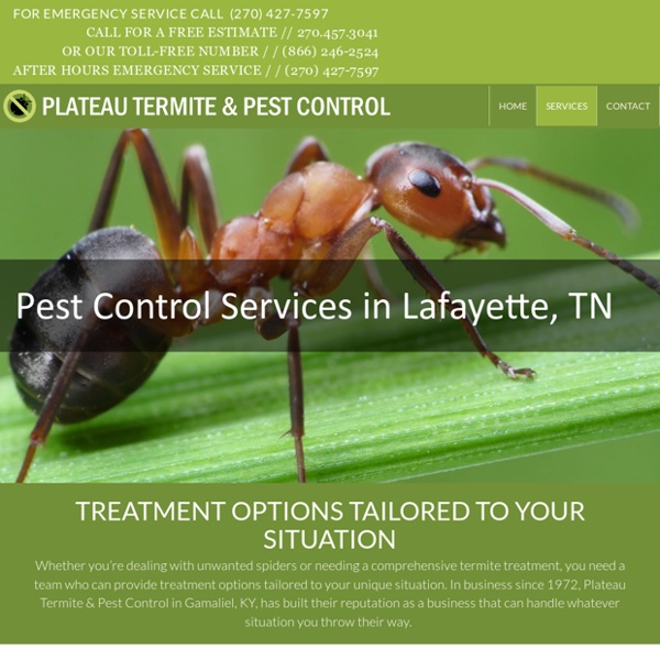 Plateau Termite & Pest Control