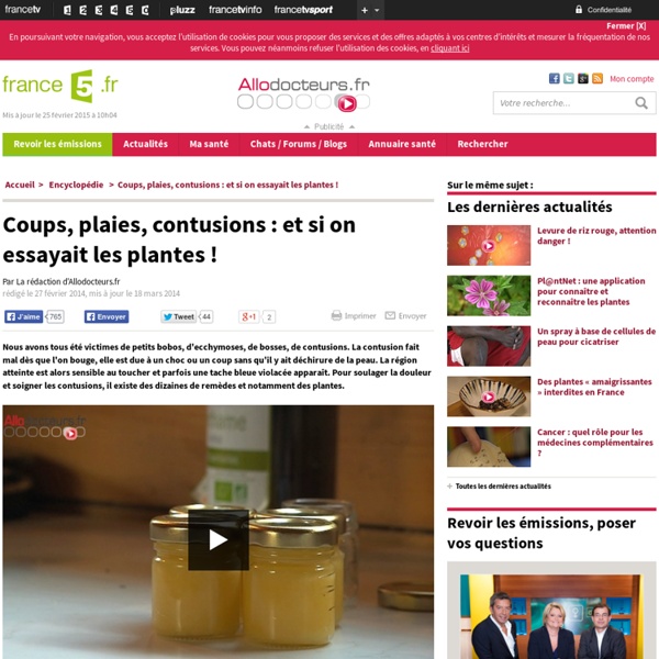 Coups, plaies, contusions : et si on essayait les plantes