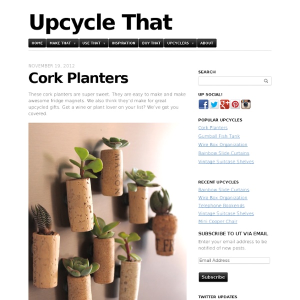 Cork Planters