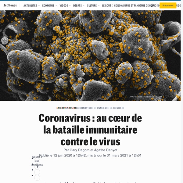 Coronavirus : au cœur de la bataille immunitaire contre le virus