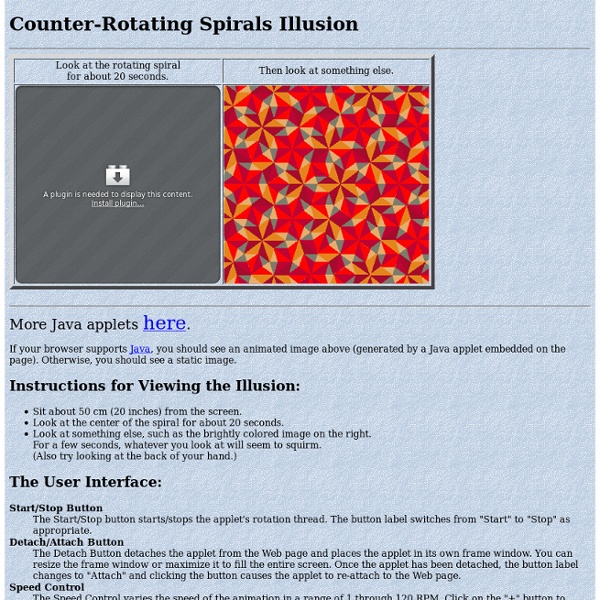 Counter-Rotating Spirals Illusion