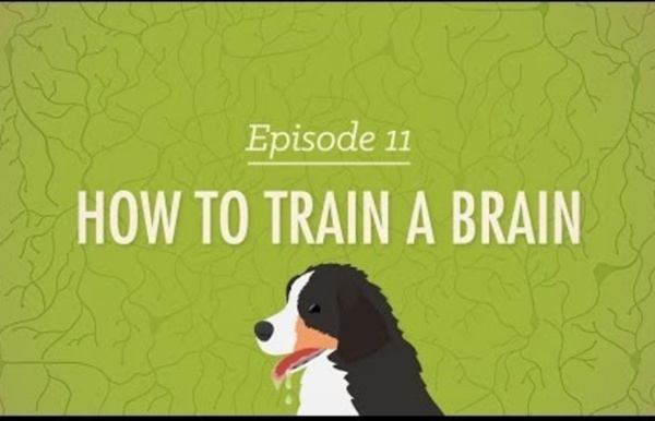 (Video to aid understanding) How to Train a Brain - Crash Course Psychology #11
