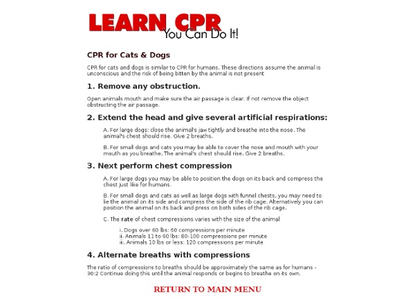 CPR Instructions Cats And Dogs
