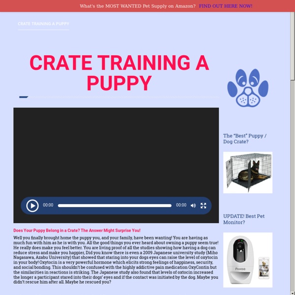 Crate Training A Puppy