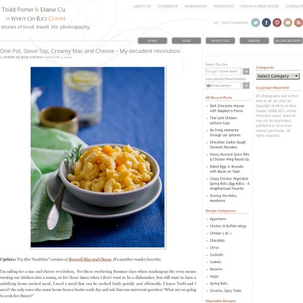 Best Stove Top, One Pot Macaroni and Cheese Recipe