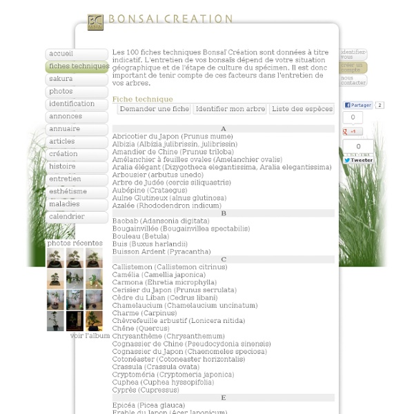 Des fiches par espèce de bonsaï, pour entretenir vos bonsaï du mieux possible