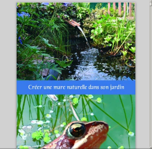 Brochure - Créer une mare naturelle dans son jardin