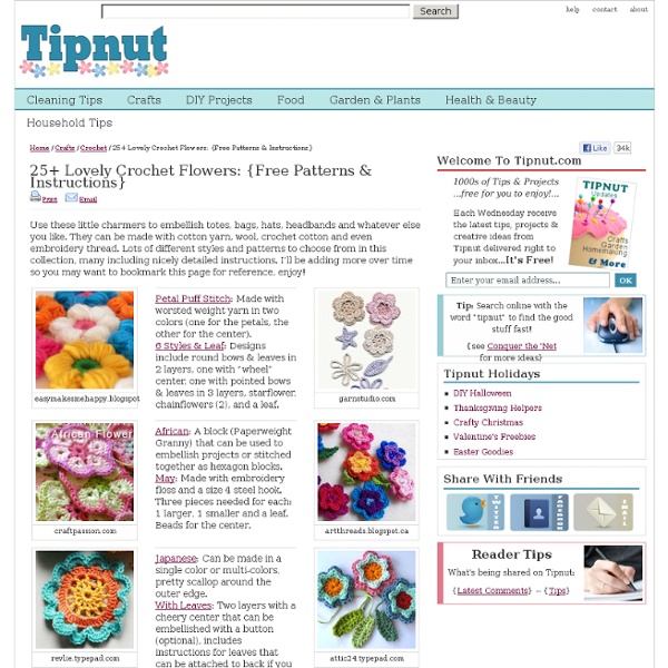 25+ Lovely Crochet Flowers: {Free Patterns & Instructions