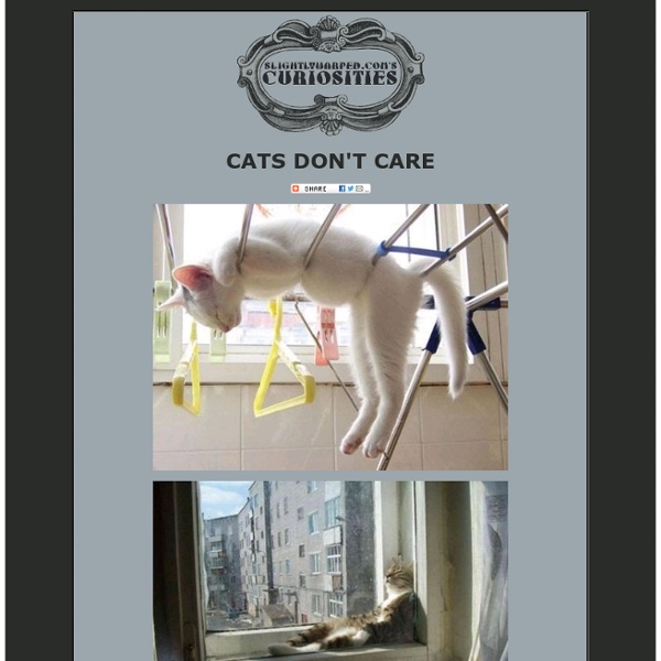 Cats Don't Care