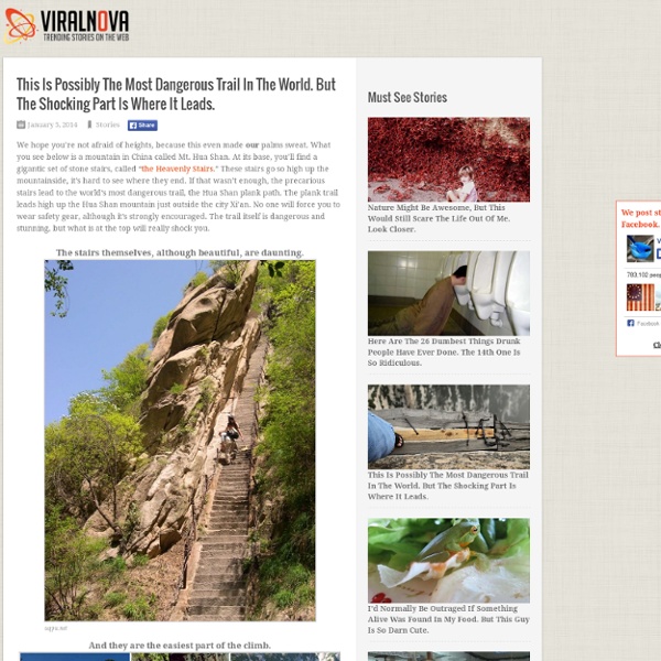 The World's Most Dangerous Trail on Mr. Huashan Leads to a Teahouse