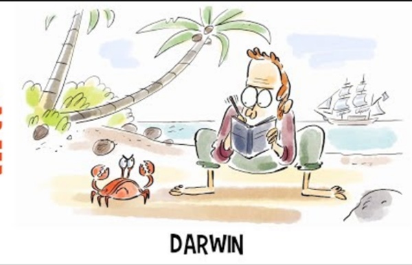 Darwin - Tu mourras moins bête - ARTE