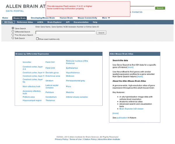 Allen Brain Atlas: Mouse Brain
