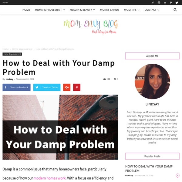 How to Deal with Your Damp Problem