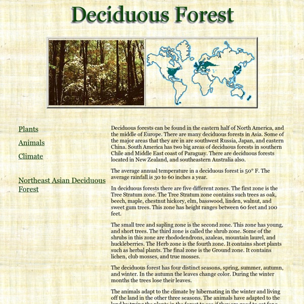 Deciduous Forest Biome