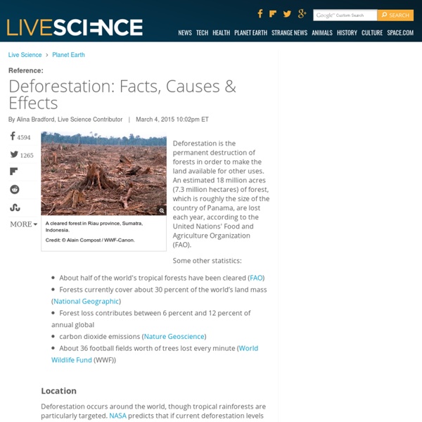 Live Science: Deforestation