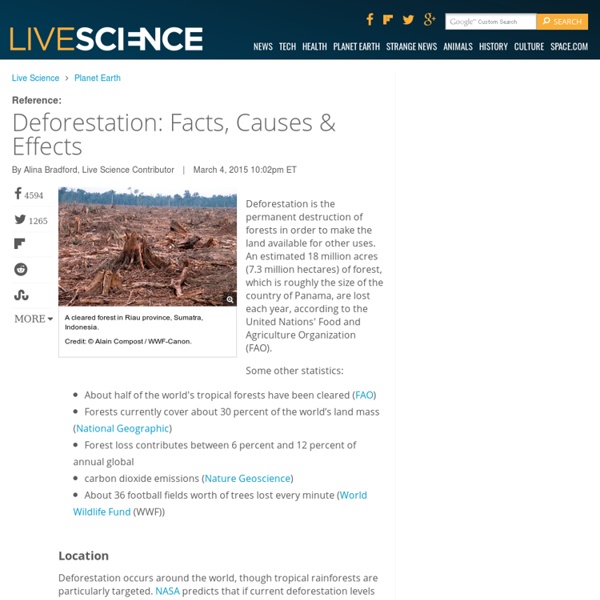 Deforestation: Facts, Causes & Effects