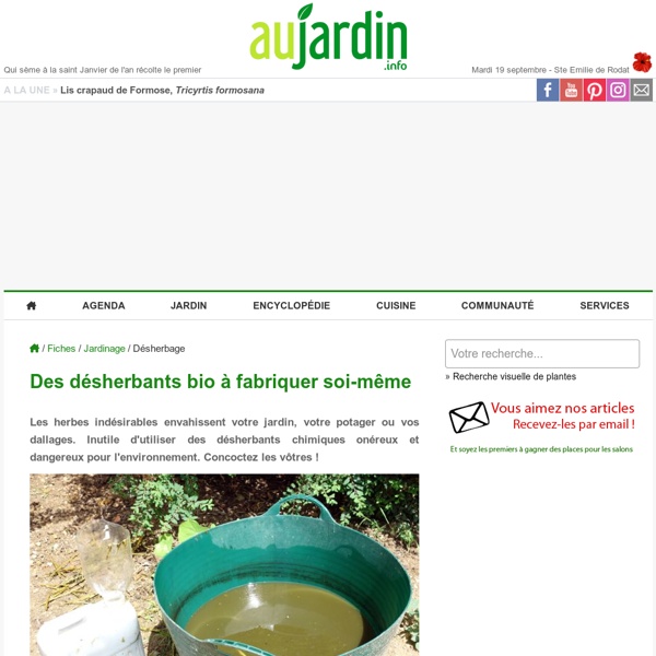 Des désherbants bio à fabriquer soi-même