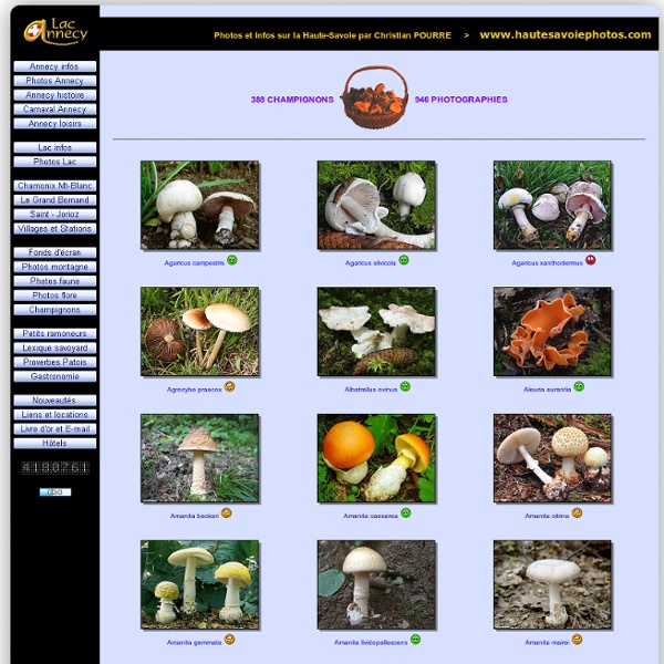 946 photos et désignations scientifiques de champignons de Haute-Savoie