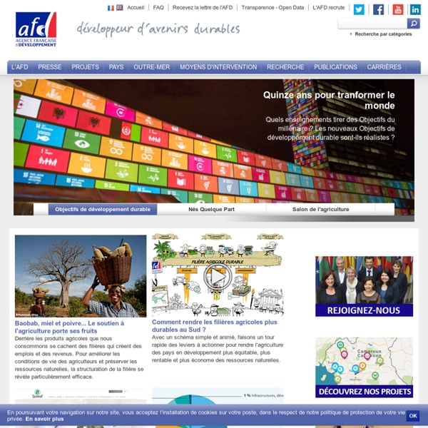 Aide au développement, agence française de développement international : AFD