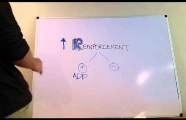 Difference Between Positive and Negative Reinforcement