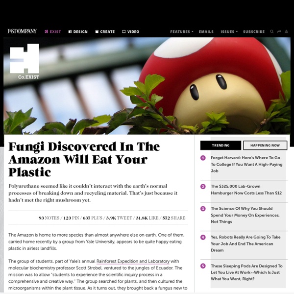 Fungi Discovered In The Amazon Will Eat Your Plastic