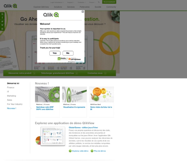 QlikView : Business Intelligence For Everyone