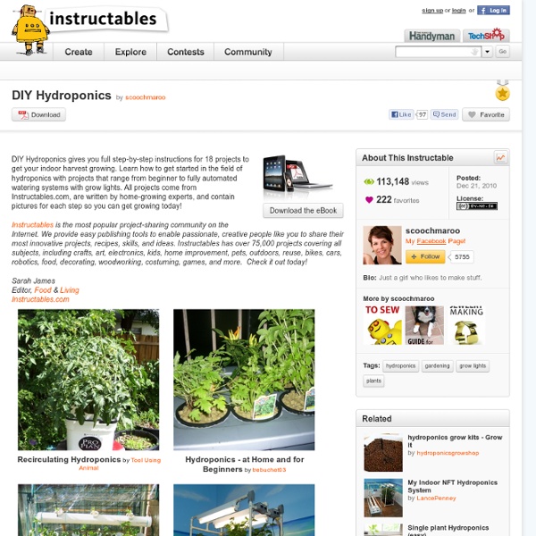 DIY Hydroponics: Free PDF | Pearltrees