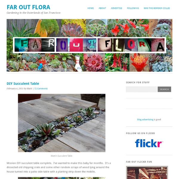 DIY Succulent Table « Far Out Flora's Blog