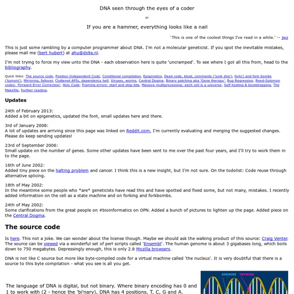 DNA seen through the eyes of a coder