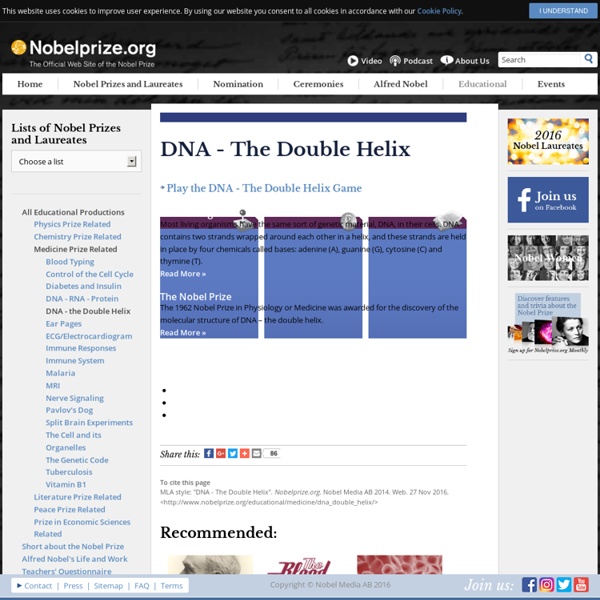 DNA - The Double Helix