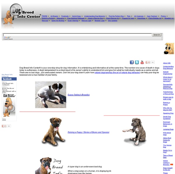 Dog Breed Info Center®, DBI