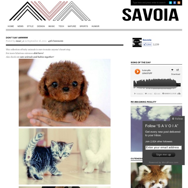 Don’t say Awwww « S A V O I A