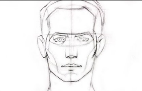 How to Draw the Head - Front View
