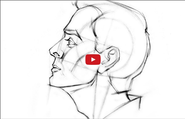 How to Draw the Head - Side View